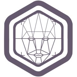 Safire Link SF-SOFT-FACE - SAFIRE LINK, Software personalizado para…