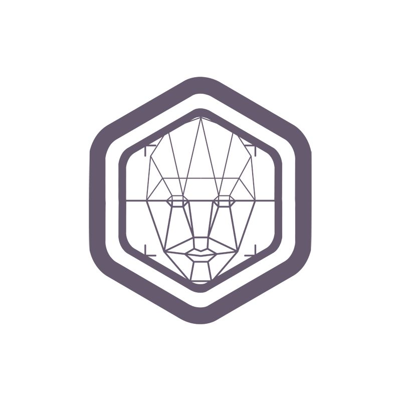 Safire Link SF-SOFT-FACE - SAFIRE LINK, Software personalizado para…