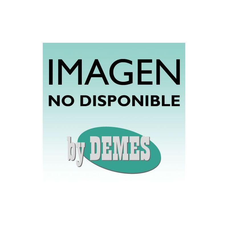 Demes DEM-290 Pila de litio de  3,6V / 17AH