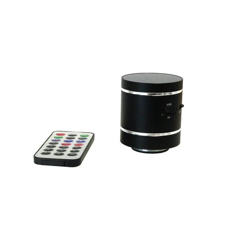 Ferguson Vibro Radio - Altavoz 20w con radio y Bluetooth