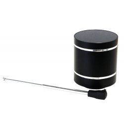 Ferguson Vibro Radio - Altavoz 20w con radio y Bluetooth