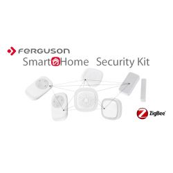 Ferguson SmartHome Security Kit