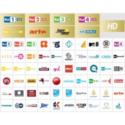 TIVU SAT HD PCMCIA CAM con tarjeta